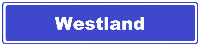 Zelfstandig trouwambtenaar BABS - Westland - Naaldwijk