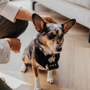 BABS-Doetinchem-Monique-Kuijper