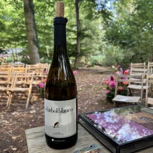 ceremoniespreker-Arnhem-Sofie-Bogers